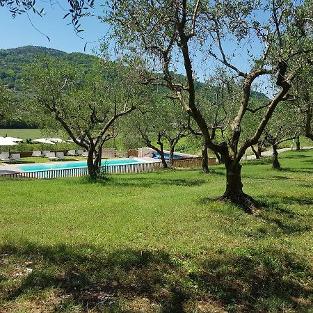 Вілла Il Vecchio Gelso - Agriturismo Rimini Montefiore Conca Екстер'єр фото