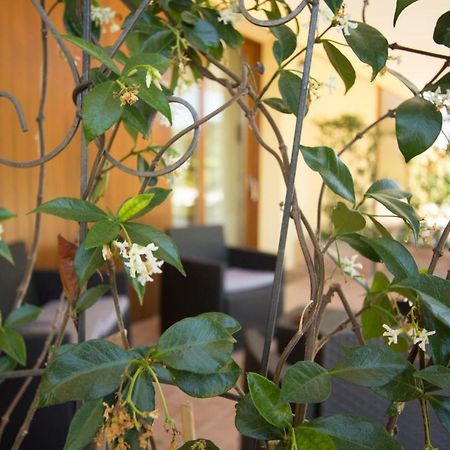 Вілла Il Vecchio Gelso - Agriturismo Rimini Montefiore Conca Екстер'єр фото