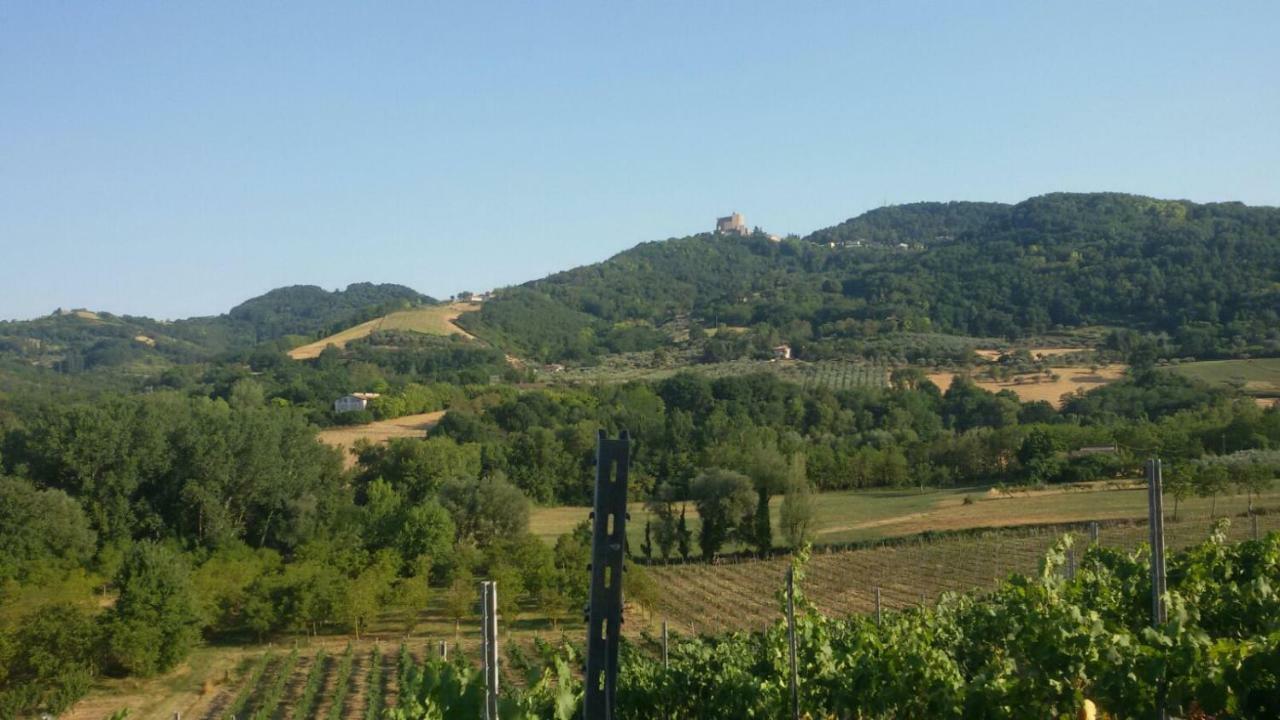 Вілла Il Vecchio Gelso - Agriturismo Rimini Montefiore Conca Екстер'єр фото