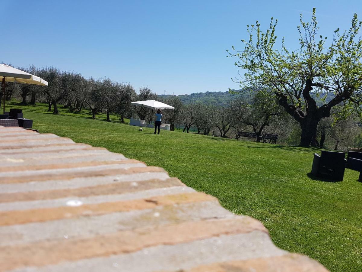 Вілла Il Vecchio Gelso - Agriturismo Rimini Montefiore Conca Екстер'єр фото