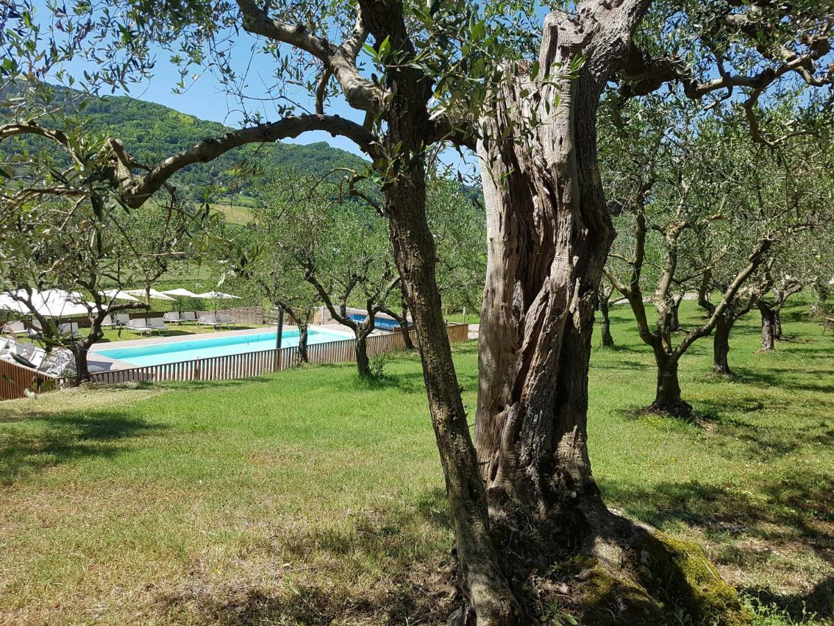 Вілла Il Vecchio Gelso - Agriturismo Rimini Montefiore Conca Екстер'єр фото