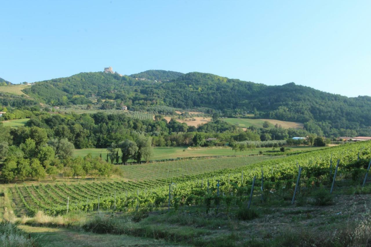 Вілла Il Vecchio Gelso - Agriturismo Rimini Montefiore Conca Екстер'єр фото