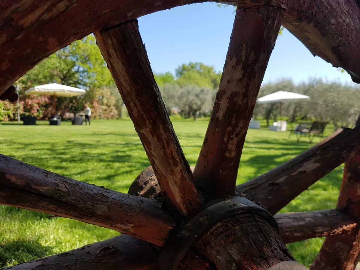 Вілла Il Vecchio Gelso - Agriturismo Rimini Montefiore Conca Екстер'єр фото