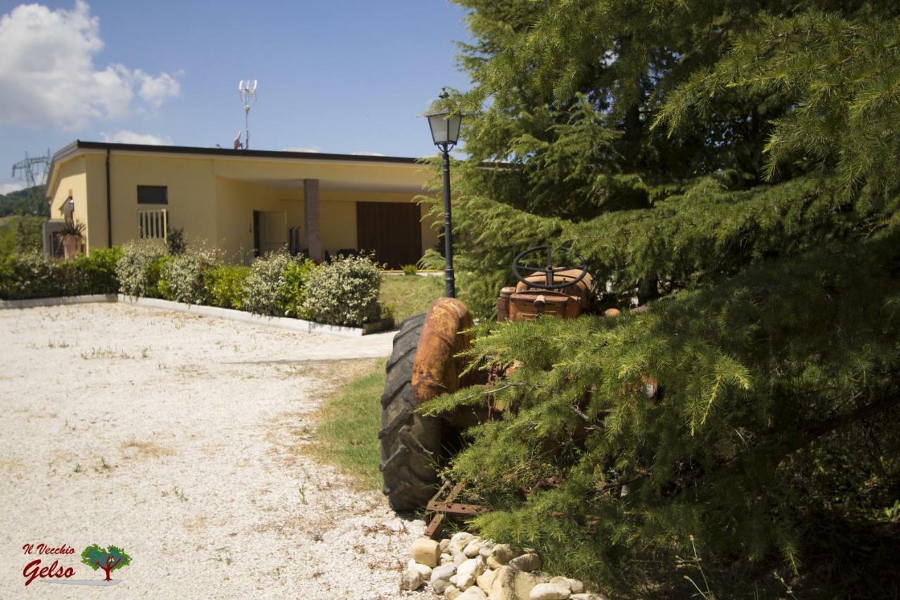 Вілла Il Vecchio Gelso - Agriturismo Rimini Montefiore Conca Екстер'єр фото