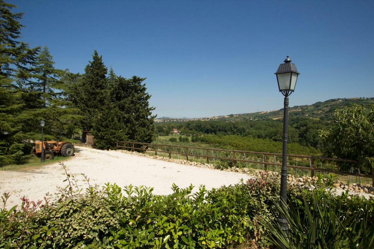 Вілла Il Vecchio Gelso - Agriturismo Rimini Montefiore Conca Екстер'єр фото