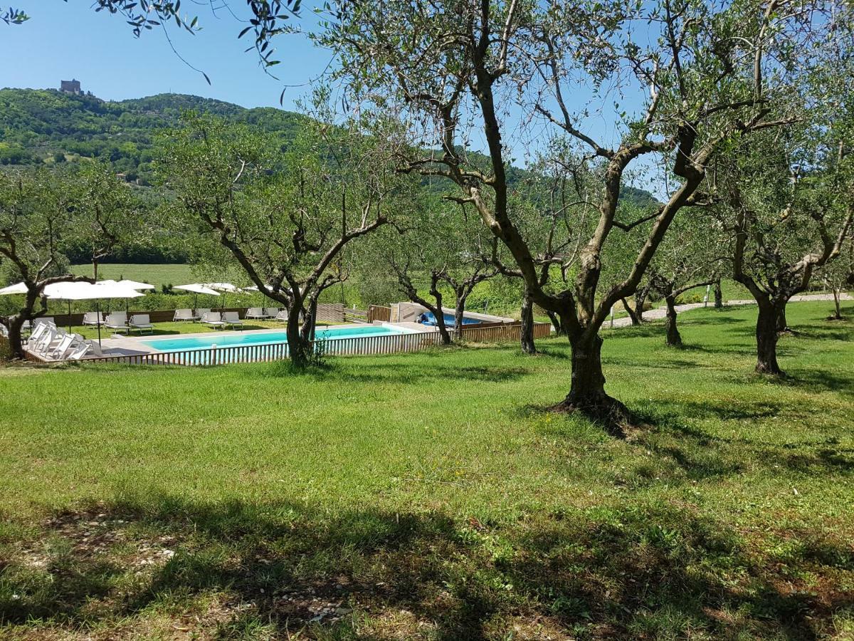 Вілла Il Vecchio Gelso - Agriturismo Rimini Montefiore Conca Екстер'єр фото