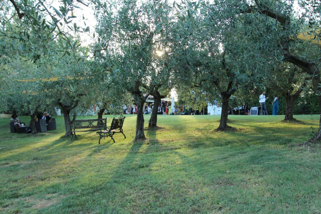 Вілла Il Vecchio Gelso - Agriturismo Rimini Montefiore Conca Екстер'єр фото
