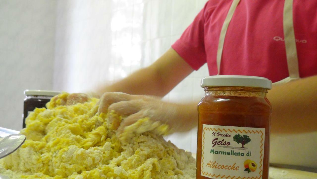 Вілла Il Vecchio Gelso - Agriturismo Rimini Montefiore Conca Екстер'єр фото